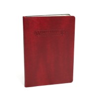 AOS: DIARIO DELLA STRADA PER LA GLORIA