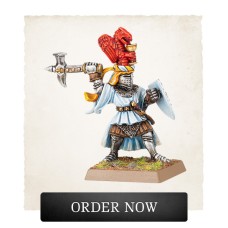 Bretonnian Paladin withh hammer and shield