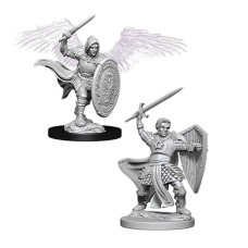 D&D: Nolzur's Marvelous Miniatures - Aasimar Male Paladin