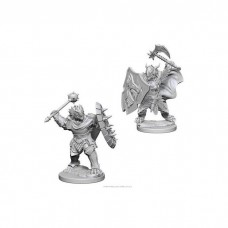 D&D: Nolzur's Marvelous Miniatures - Dragonborn Male Paladin