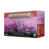 Tzaangor Illuminati