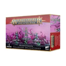 Tzaangor Illuminati