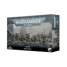 Guerrieri - Necron