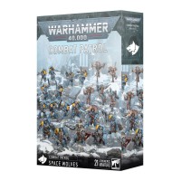 Pattuglia da Combattimento: Space Wolves